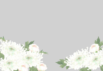 白い菊の花のフレーム
