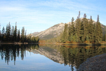 reflection of trees in the lake, Banff National Park, Alberta