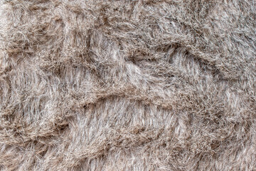 Close-up soft brown fur texture used for beautiful abstract background design