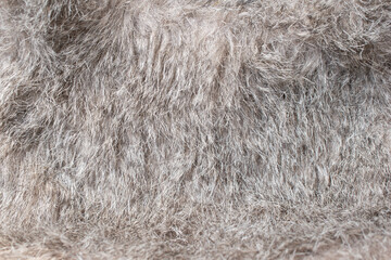 Close-up soft brown fur texture used for beautiful abstract background design