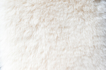 Close-up of white fur texture used for beautiful abstract white fur background design.