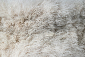 Close-up of soft white fur texture used for beautiful abstract background design.