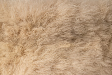 Soft Brown Hair Texture Close-up Use Abstract Background Design