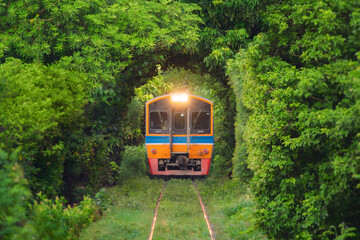 Thai local train on railway with green trees tunnel corridor, Bangkok, Thailand. Way through...