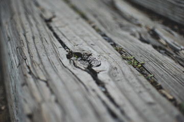 Close up wooden 