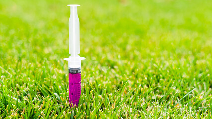 A syringe with a bright pink liquid inserted into the ground with a growing lawn close-up....