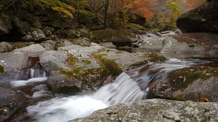 Beautiful autumn valley scenery in Korea