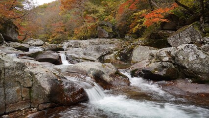 Beautiful autumn valley scenery in Korea