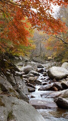 Beautiful autumn valley scenery in Korea