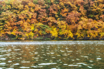 Obraz na płótnie Canvas Autumn leaves near river