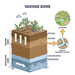 Vadose or unsaturated zone as geological earth layer division outline diagram. Labeled educational terrestrial subsurface structure explanation vector illustration. Capillary, recharge and root soil. - obrazy, fototapety, plakaty
