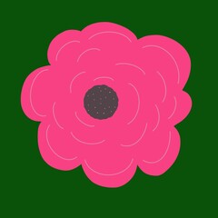 flower red illustration chrysanthemum bud