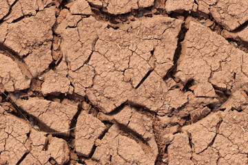 Seamless texture of cracked dry steppe land.