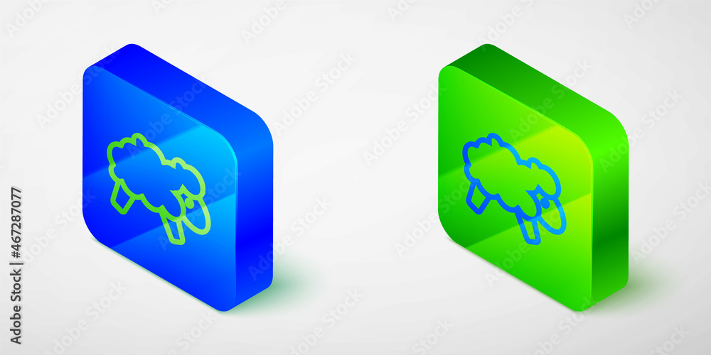 Poster isometric line sheep icon isolated on grey background. counting sheep to fall asleep. blue and green