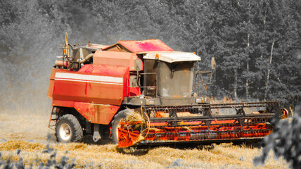 The harvester mows the field. Wheat harvest