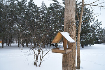 City park covered with snow.