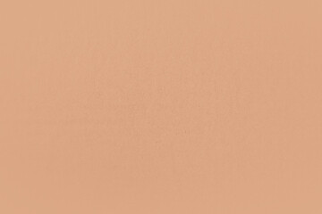 Blank light soft pale orange color or nude tone on recyclable paper texture minimalistic background