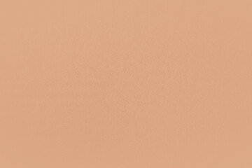 Blank light soft pale orange color or nude tone on recyclable paper texture minimalistic background