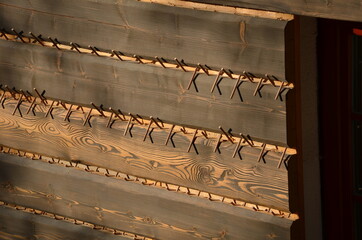 Naklejka premium tiling wooden cottage planks with beveled edges. timbered structure connected by wooden pins. pins replace screws and nails. after joining, they are cut off and the boards on the wall are held firmly