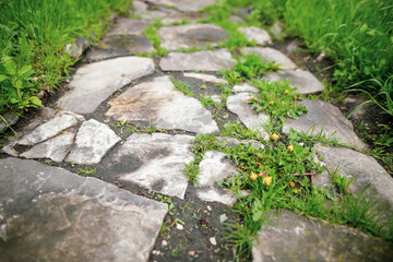 Shallow depth of field (selective focus) image with medieval stone path inside the Bran Castle,...