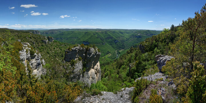 Gorges de la Dourbie - vue sur le Plateau du Larzac