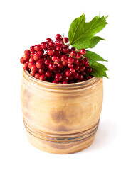 Viburnum red berry in small cask isolated on white