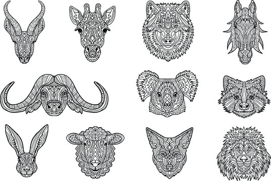 Set of wild animals. Coloring Book for adults. Colouring pictures with animals. Tatoo. Antistress freehand sketch drawing with doodle and zentangle elements.