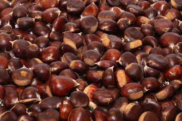 Chestnuts. Autumn mood. Food. Natural.