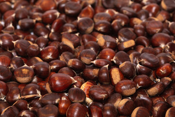 Chestnuts. Autumn mood. Food. Natural.