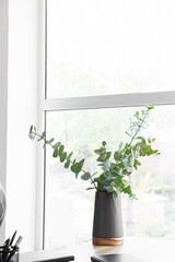 Vase with eucalyptus on table near window