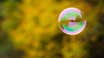 multicolored soap bubble on a yellow autumn background. Soap bubble. Isolated on yellow, autumn colors. reflex, detailed, close-up. multi-colored ball flies. holiday concept, childhood