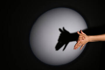 Woman performing a shadow play