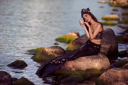 Mermaid Sitting Images – Browse 5,351 Stock Photos, Vectors, and