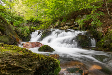 waterfall in the forest