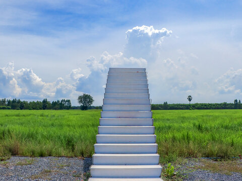 The stairs leading up to the top for taking pictures of the rice fields