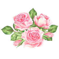 Pink roses. Watercolor vintage illustration. Isolated on a white background. For your design.