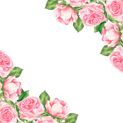Pink roses. Watercolor vintage banner. Isolated on a white background. For your design.