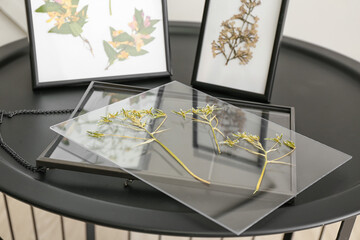 Frames with dried pressed flowers on table in room