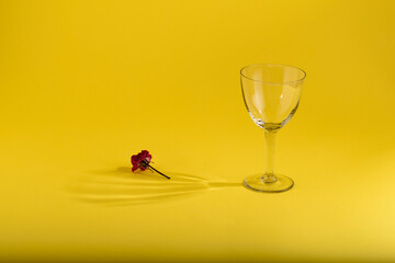 A glass cup with a flower in the shade. Yellow background. 