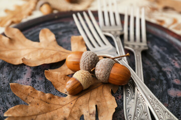 Stylish autumn table setting with acorns, closeup
