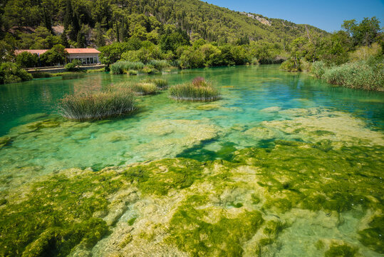 Crystal clear water near the beautiful Skradinski buk waterfall in Krka National Park, Croatia