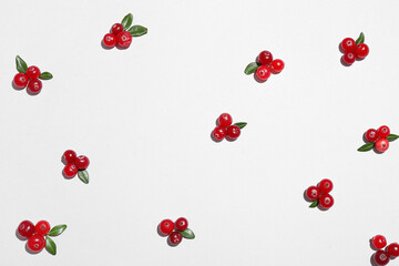 Healthy lingonberry on white background