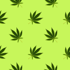 Hemp or cannabis leaves seamless pattern on a bright background.