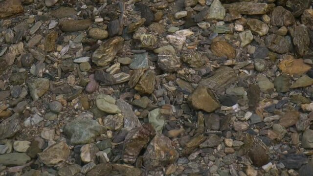 Clear see-through pebbles river water flowing