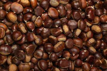 Edible Sweet Chestnuts, Healthy Autumn and Christmas Food