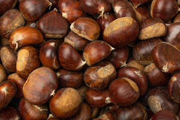 Edible Sweet Chestnuts, Healthy Autumn and Christmas Food