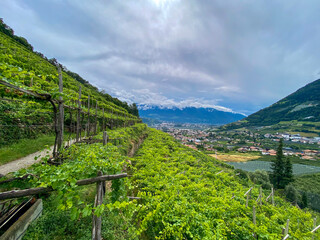 Waalweg in Südtirol