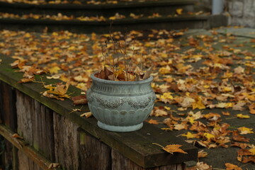 Naklejka premium Ceramic pot with plant remains in the garden in autumn