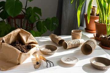 Eco friendly pots for planting seeds, paper bag with ground and garden trowel and rakes, tomato and radish seeds , planting seedlings at home
