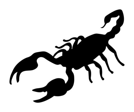 silhouette of a crouching scorpion